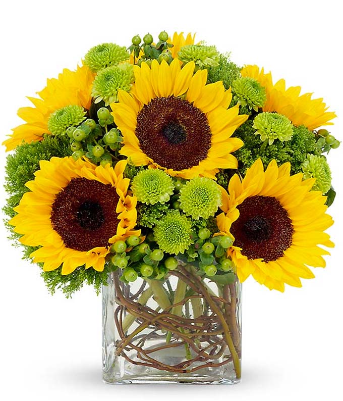 Sunflower bouquet by a florist with green poms